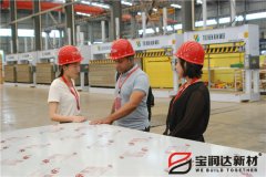 加拿大客戶來訪寶潤(rùn)達(dá)洽談合作